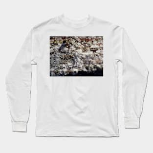 Forest Sun Rays in the Snow  #35 Long Sleeve T-Shirt